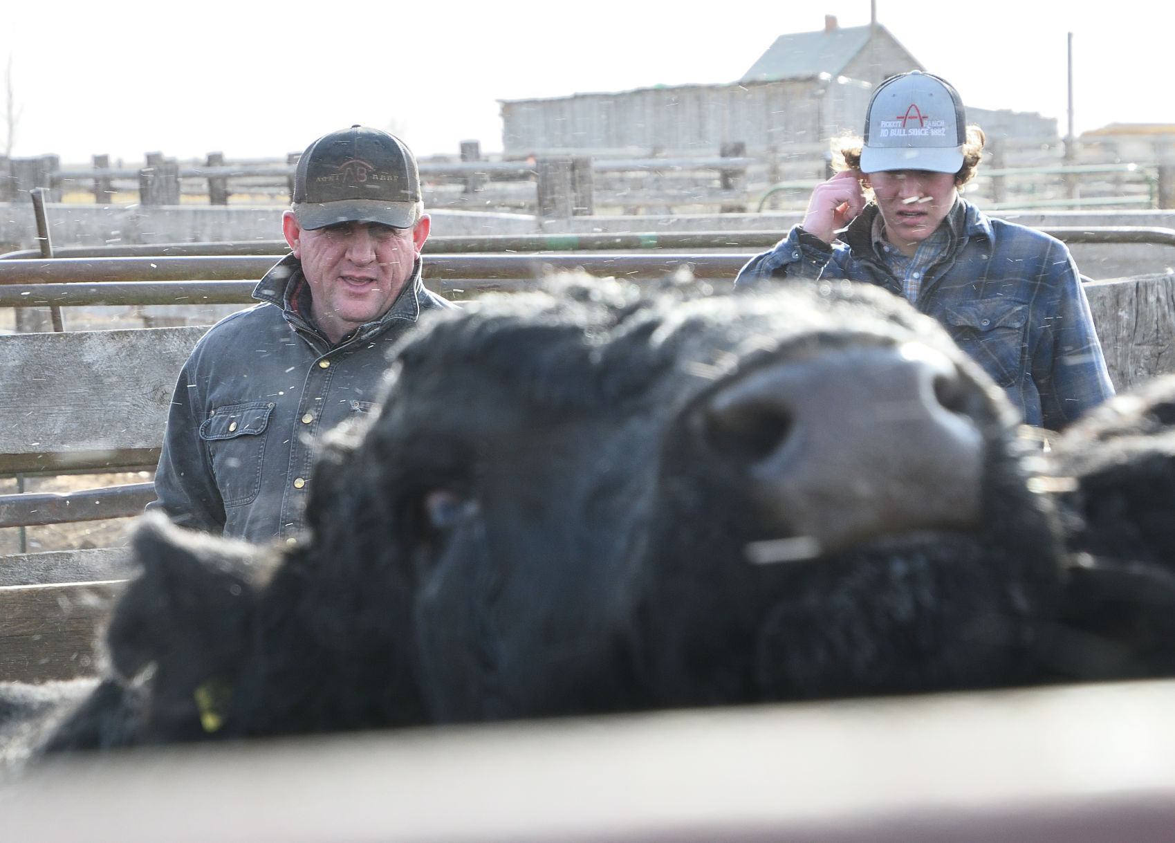 Ranchers deal with fallout from Badger Fire